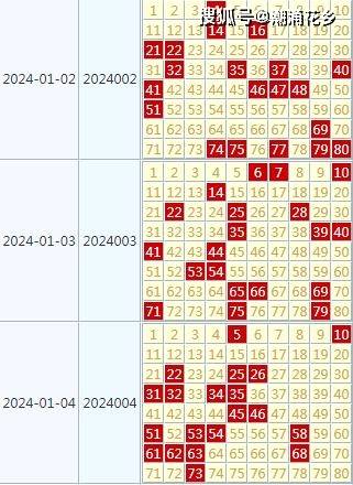 2025年天天开好彩大全|全面释义解释落实,迈向2025年天天开好彩，全面释义与落实策略