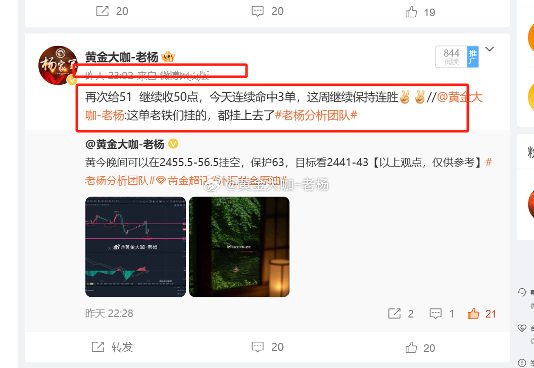 一肖一码100%中|实用释义解释落实,一肖一码，实用释义、精准预测与落实策略